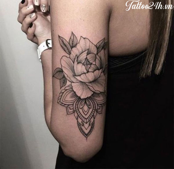 hình xăm hoa ở bắp tay cho nữ  Tattoo Gà