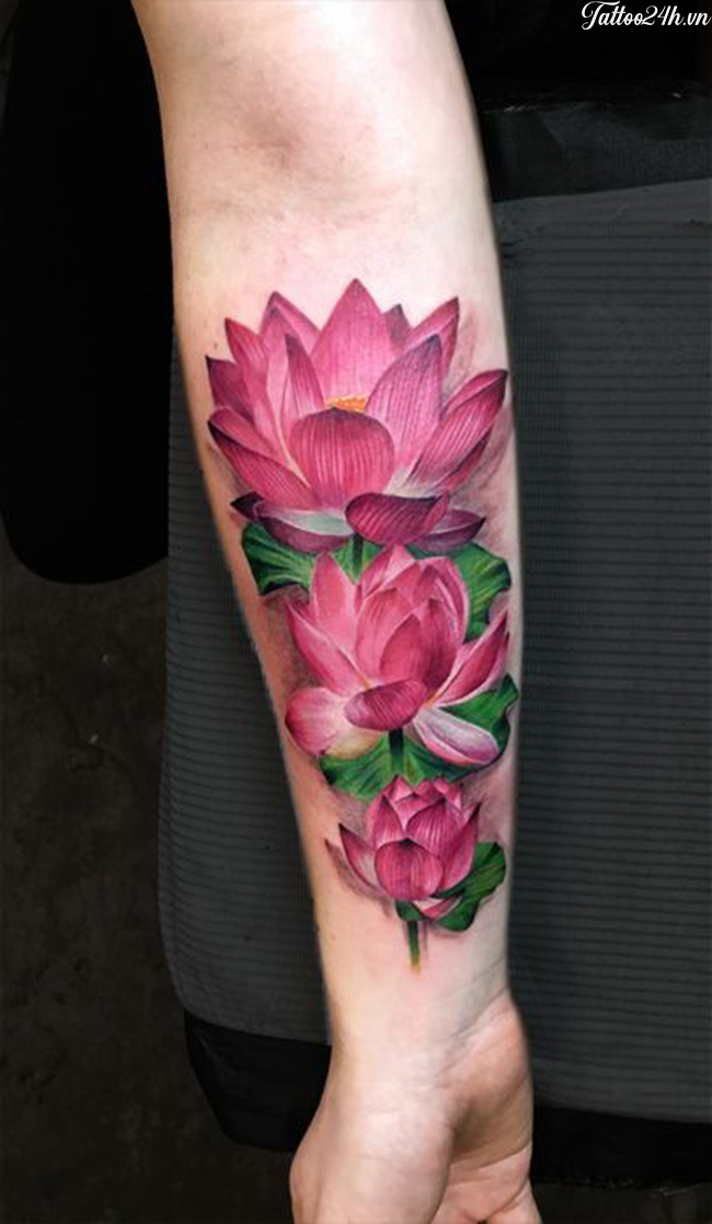 Ý nghĩa hình xăm hoa sen mà không phải ai cũng biết  Tattoo  Ý Nghĩa Hình  Xăm  Hình Xăm Đẹp  Xăm Hình Nghệ Thuật
